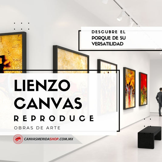 Versatilidad de lienzo canvas