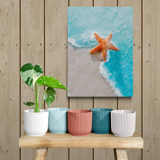 Características del lienzo y como se ve un cuadro ya impreso