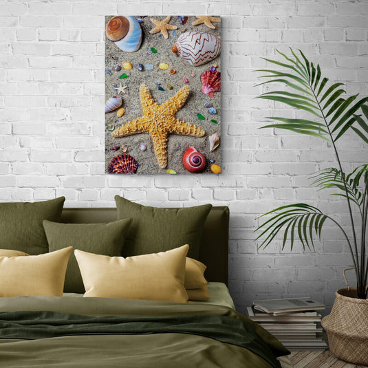 Fotografía colorida de estrella de mar y conchas variadas sobre arena