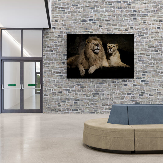 León y leona descansando juntos