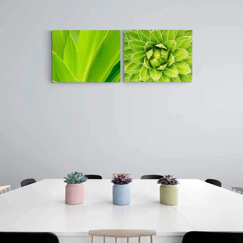 Fotografías macro de hojas verdes