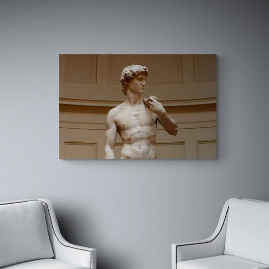 The statue of david V - Canvas Mérida Fine Print Art