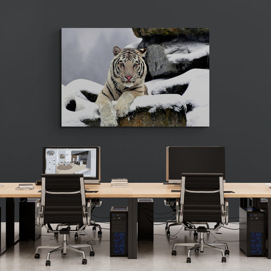 Tigre blanco descansando en la nieve