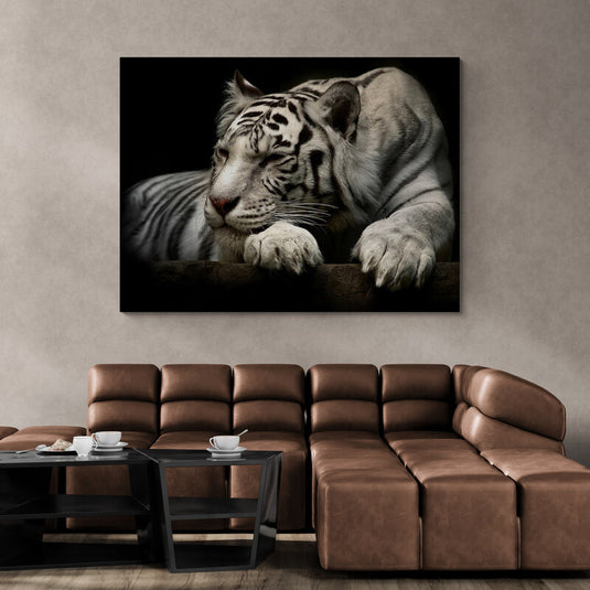 Tigre blanco descansando