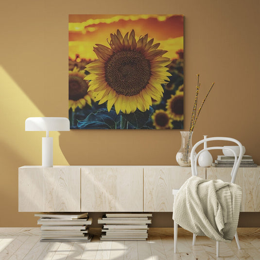 Girasol al atardecer con cielo anaranjado