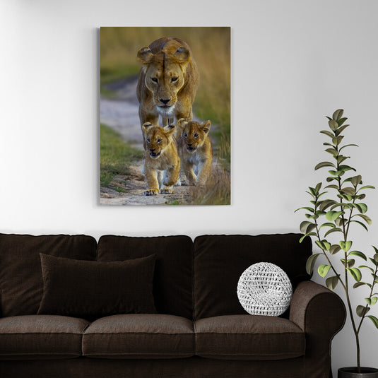 Leona con dos cachorros caminando por un sendero