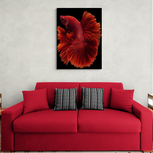 Cuadro decorativo de pez betta rojo con fondo negro
