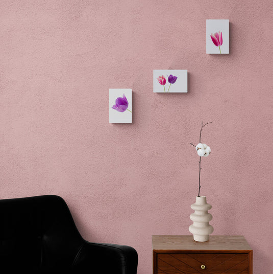 Pocket Art Set Closeup Tulip Flower - Canvas Mérida Cuadros Decorativos