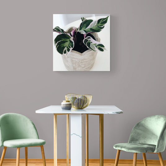 Alocasia Silver Dragon - Canvas Mérida Fine Print Art