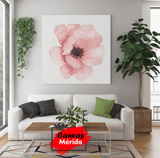 Cuadro decorativo: Flor amapola rosa sobre fondo blanco - Belleza en sutiles tonos.