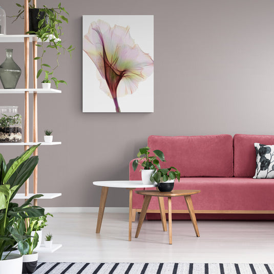 Fotografía artística de flor translúcida con delicados tonos pastel