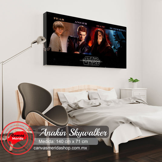 Anakin Skywalker - Canvas Mérida Fine Print Art