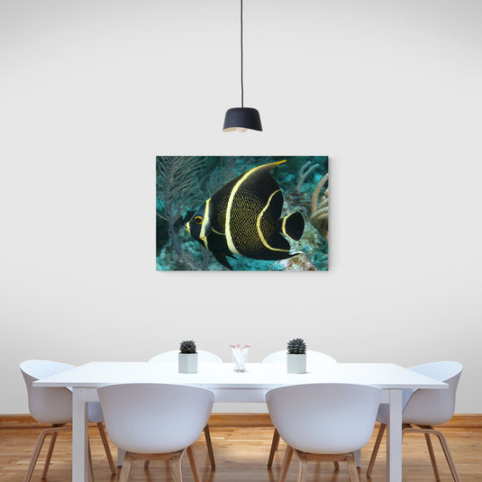 Fotografía subacuática de un pez ángel francés con rayas amarillas y negras