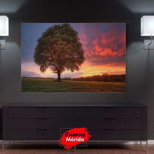 Cuadro Decorativo: Paisaje de Atardecer con Árbol Frondoso y Césped Verde