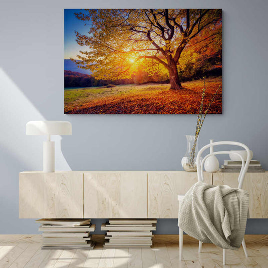 Cuadro Decorativo: Atardecer en el Campo con Árbol Frondoso y Rayos de Sol entre las Ramas