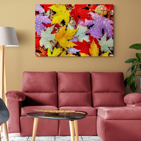 Hojas otoñales colores vibrantes gotas agua