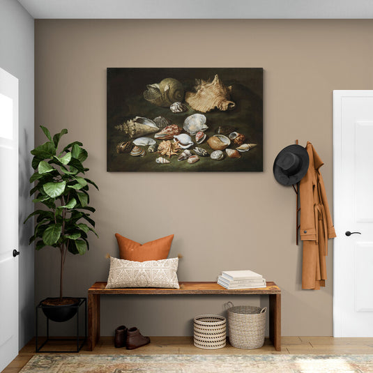 Bodegón clásico con variedad de conchas marinas sobre fondo oscuro