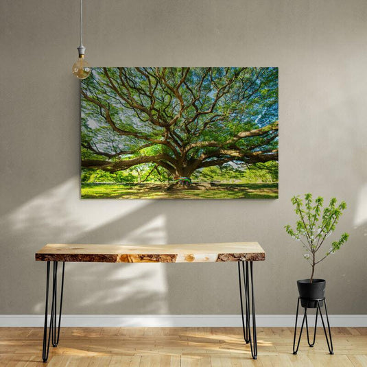 Foto artística de árbol majestuoso con troncos robustos y hojas verdes en paisaje campestre.