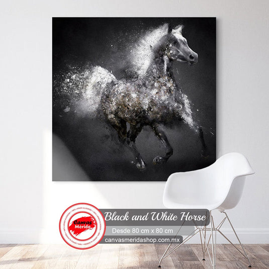 Cuadro de caballo en blanco y negro en pleno movimiento
