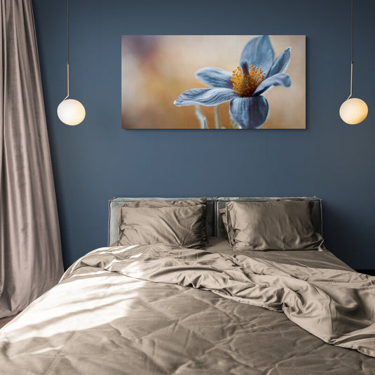 Fotografía macro de una flor de anémona azul con centro amarillo y fondo suave.