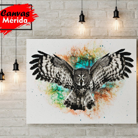 Cuadro decorativo: Fusión de colores y búho negro en fondo blanco