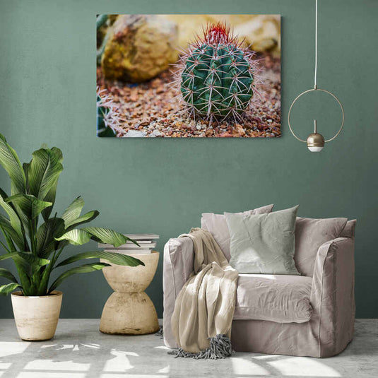 Cactus Held Garden - Canvas Mérida Fine Print Art