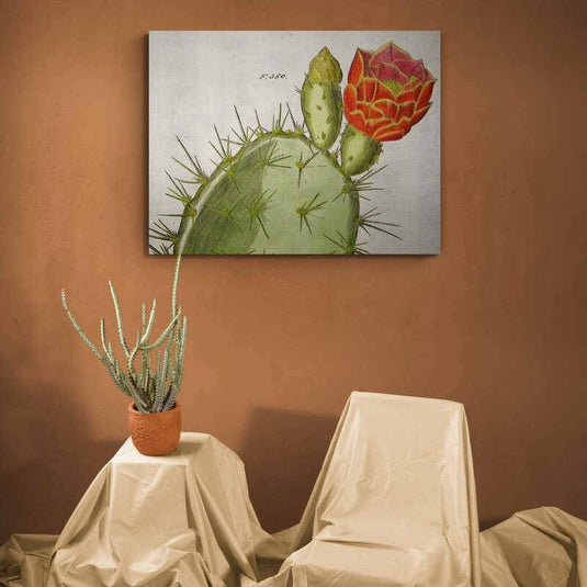 "Detalle realista de cactus con flor vibrante y fondo texturizado"
