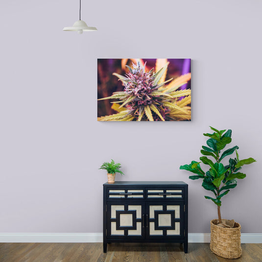 Cannabis Purple - Canvas Mérida Fine Print Art