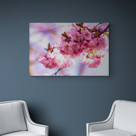 Fotografía vibrante de flores de cerezo en tonos de rosa