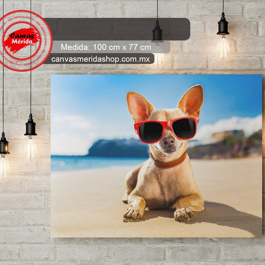 Perro relajado con gafas de sol en la playa