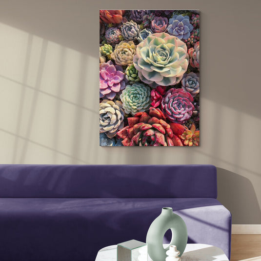 Jardín Variado de Suculentas Coloridas en Simetría Perfecta