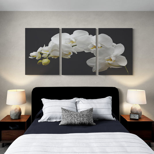 Tríptico sobre fondo negro: orquídeas blancas con matices verdes extendiéndose a lo largo de tres cuadros decorativos