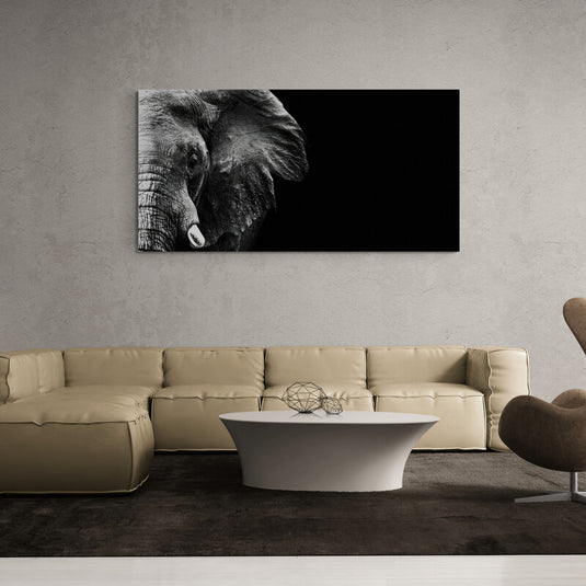Fotografía en blanco y negro de medio elefante