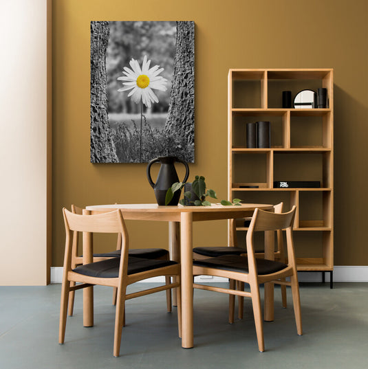 Fotografía de una margarita con color selectivo entre árboles en blanco y negro