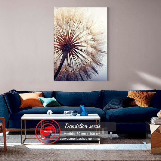 Macrofotografía de diente de león con iluminación de contraluz.