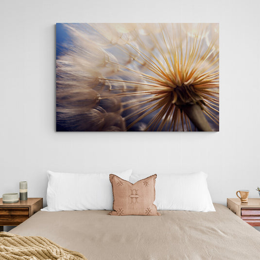 Dandelions at Sunset - Canvas Mérida Fine Print Art