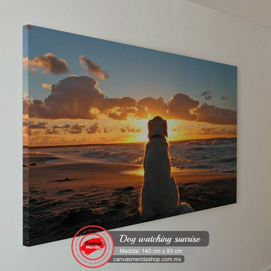 Perro mirando el atardecer sobre las olas del mar en la playa
