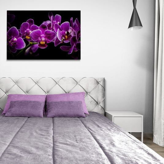Dreamy Orchids - Canvas Mérida Fine Print Art