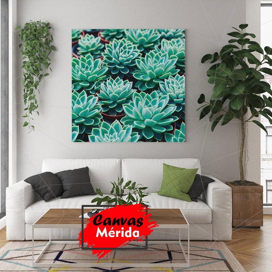 Serie de suculentas Echeveria verdes en patrón simétrico