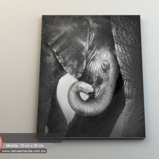 Cuadro en blanco y negro de madre e hijo elefante