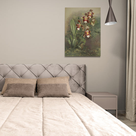 Ilustración botánica detallada de una orquídea con flores marrones y rojas