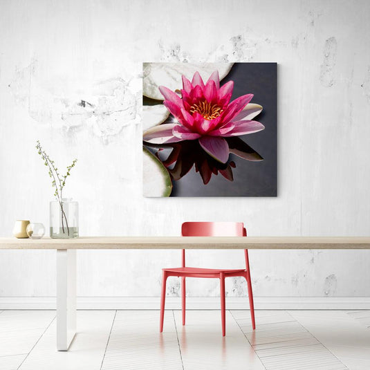 Fotografía de una flor de loto rosa reflejada en el agua