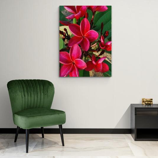 Fotografía de flores de plumeria rojas y rosas con hojas verdes