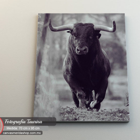 Fotografía en Blanco y Negro de Toro Corriendo