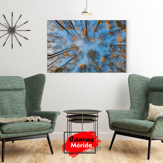 Cuadro Decorativo: Bosque de Árboles Altos con Hojas Naranjas y Amarillas, Cielo Azul