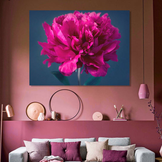 Peonía magenta vibrante sobre fondo azul
