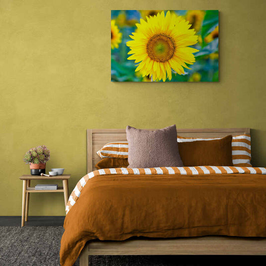 Girasol Radiante con Pétalos Amarillos y Centro Marrón en Foco Sobre Fondo Desenfocado