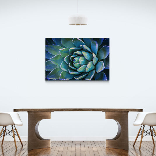 Fotografía de suculenta agave en tonos azules