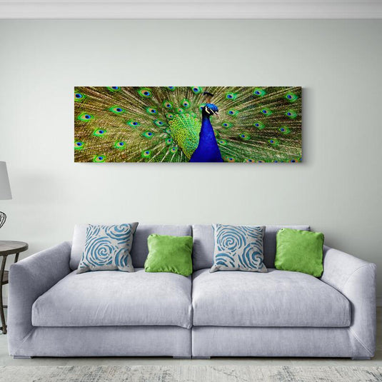 Cuadro decorativo: Pavo real con plumaje azul majestuoso