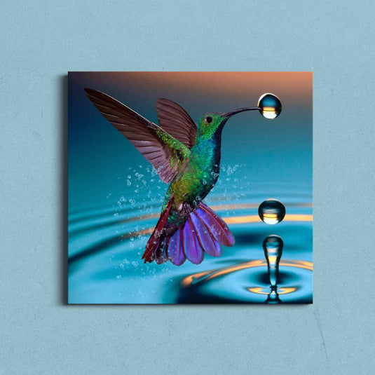 Colibrí multicolor en verde, rosa, rojo y morado capturando esfera de agua rebotando en superficie acuática